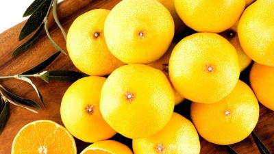 ✨ 놓치면 후회! 산지직송 제주 하우스 귤2 5kg 솔직 후기🍊